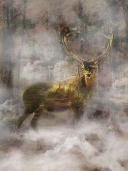 Gold Deer In the Foggy Forest Fotobehang 10033VEA