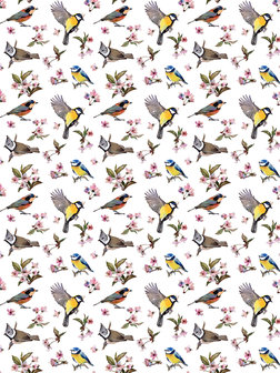 Little Birds and Floral Patterns Fotobehang 10401VEA