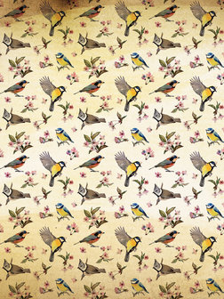 Little Birds and Floral Patterns Fotobehang 10402VEA