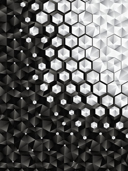 3D Hexagons  Fotobehang 10684VEA