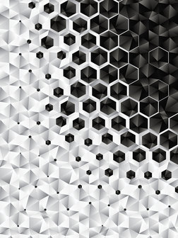 3D Hexagons  Fotobehang 10685VEA