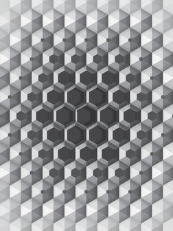 3D Hexagons Fotobehang 10760VEA