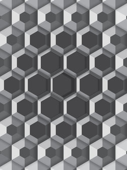 3D Hexagons Fotobehang 10761VEA