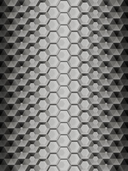 3D Hexagons Fotobehang 10763VEA