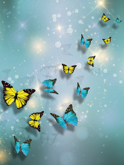 Yellow and Blue Butterflies Fotobehang 10225VEA