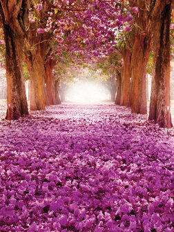 Purple Flowers Alley  Fotobehang 10236VEA