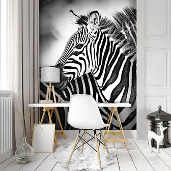 Zebra Black-White Fotobehang 10159VEA