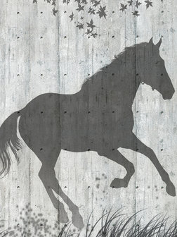 Horse Shadows on Gray Wall Fotobehang 20302VEA