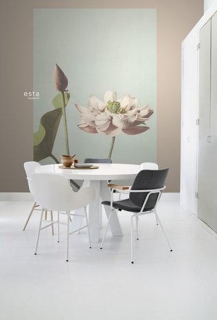 Esta XL2 - Photowalls | Blush 158890 (Met Gratis Lijm)