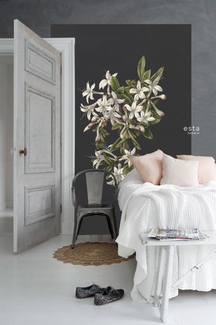 Esta XL2 - Photowalls | Blush 158885 (Met Gratis Lijm)