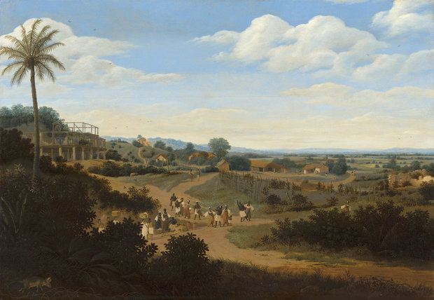Mauritshuis Frans Post, Braziliaans landschap 1655 - 1660 MH4 (Met Gratis Lijm)