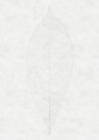 Komar Raw Decent Leaf R2-012