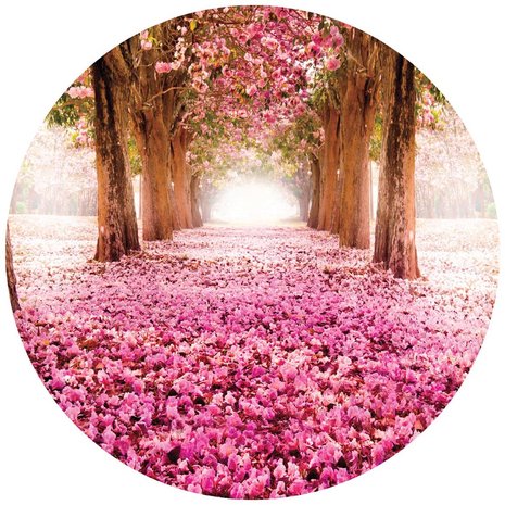 bout toenemen Verplicht Roze Bloemen Looppad Cirkel Behang 851VEZ - Fotobehangkoopjes.nl