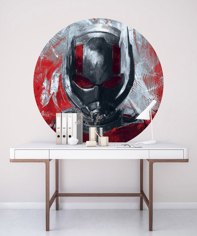 Komar Into Adventure Avengers Painting Ant-Man DD1-049