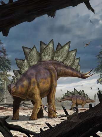 Komar Into Adventure Stegosaurus XXL2-530