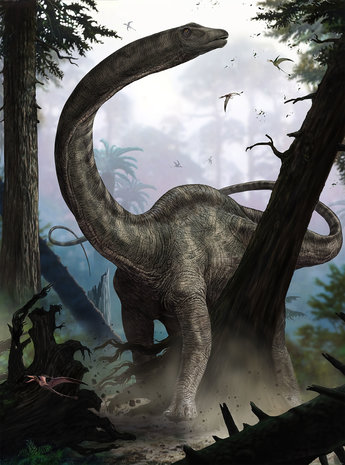Komar Into Adventure Rebbachisaurus XXL2-531