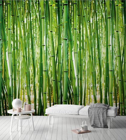 Dutch Wallcoverings Bamboo One Roll One Motif - Grandeco A36901
