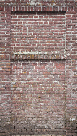 Dutch Wallcoverings Castle Wall  One Roll One Motif - Grandeco A42901