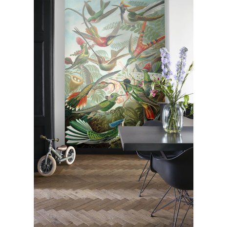 Esta Home| Vogels Tropisch Jungle 158954 (Met Gratis Lijm)