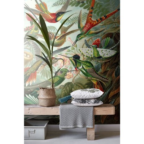 Esta Home| Vogels Tropisch Jungle 158954 (Met Gratis Lijm)