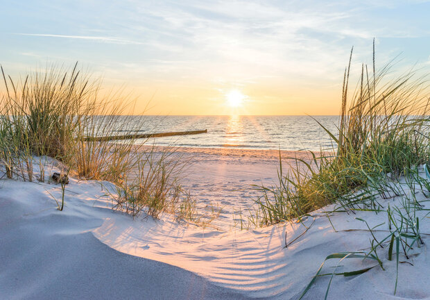 Strand Fotobehang 14020