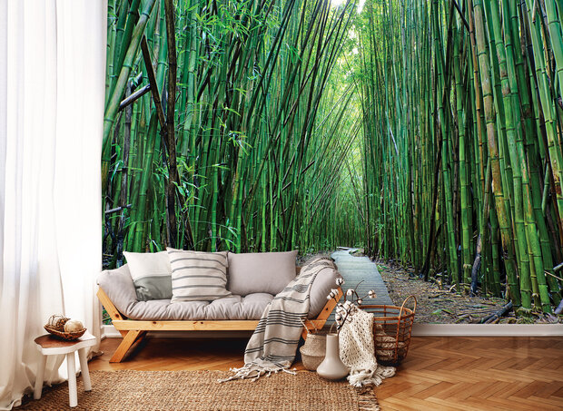 Bamboe Fotobehang 12632