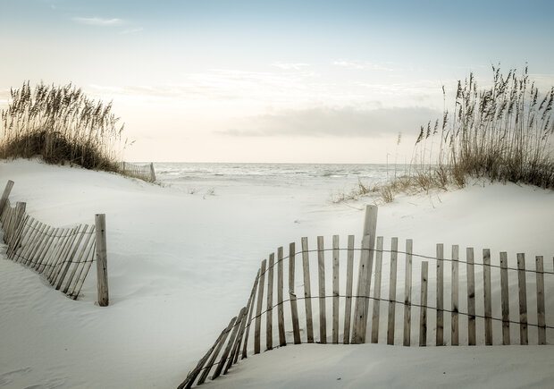 Strand Fotobehang 13340