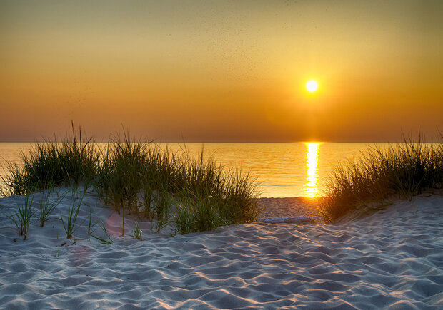 Duinen Fotobehang 11577