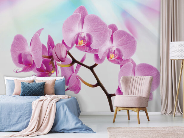 Orchidee Fotobehang 116