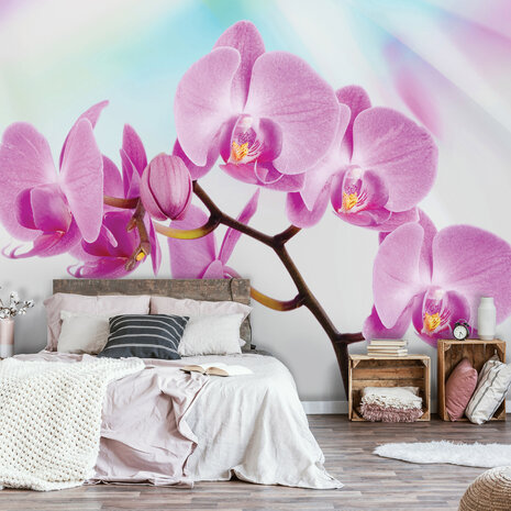 Orchidee Fotobehang 116