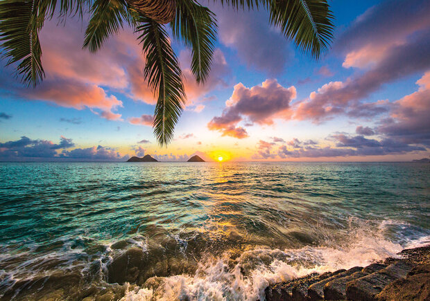 Strand Palmbomen Fotobehang 11748