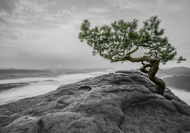 Strand Fotobehang 11759