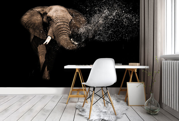 Olifant Fotobehang 11762