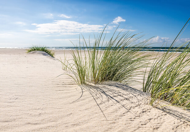 Duinen Fotobehang 13049