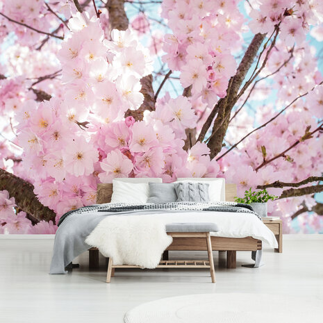 Cherry Blossom Fotobehang 13283