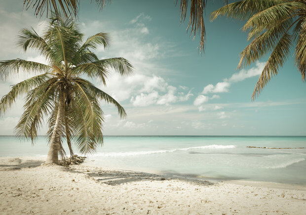 Strand Fotobehang 13347