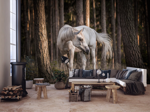 Paard Fotobehang 13599