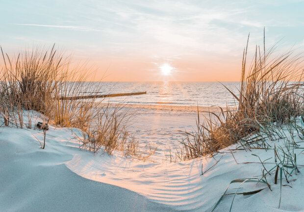 Strand Fotobehang 14021