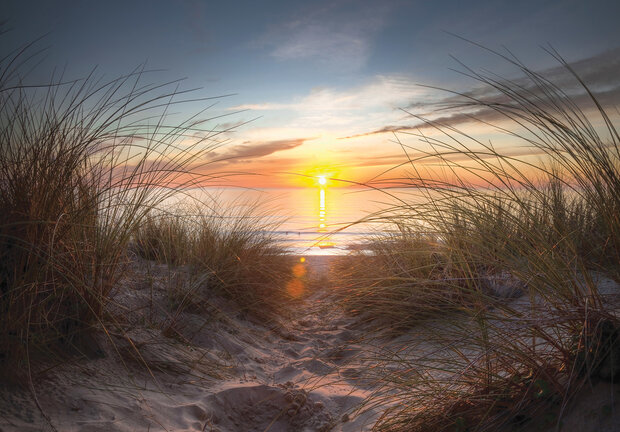 Strand Fotobehang 14022