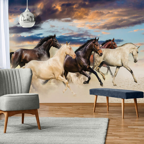 Paarden Fotobehang 2964