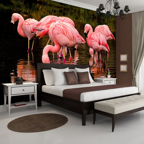 Flamingo Fotobehang 3616
