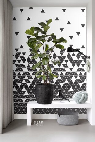 Esta XL2 - Photowalls | Scandi Cool 158906 (Met Gratis Lijm)