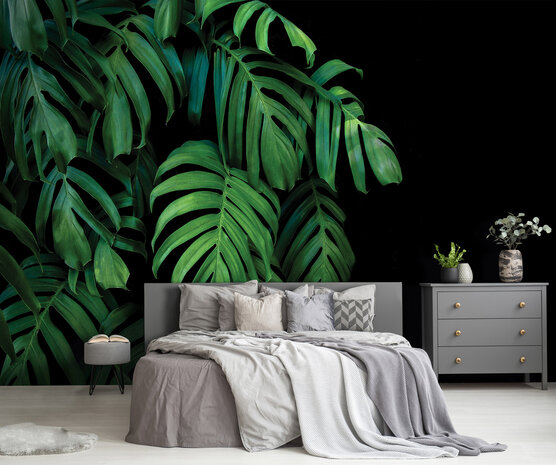 Monstera Fotobehang 14549