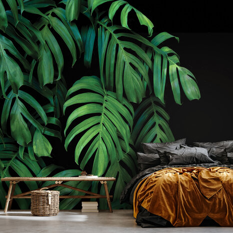 Monstera Fotobehang 14549