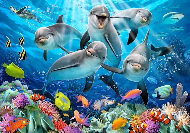 Dolfijnen Fotobehang 12849