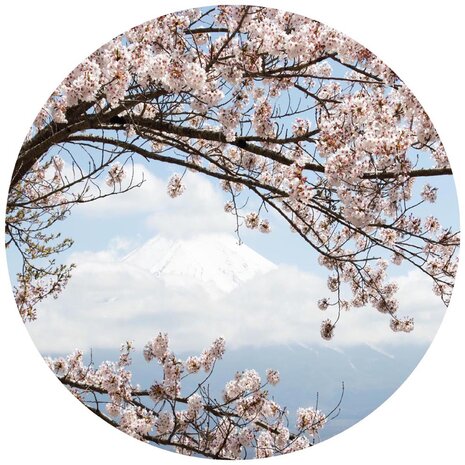 Cherry Blossom Cirkel Behang 11800VEZ