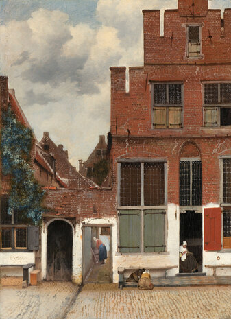 Rijksmuseum Gezicht op Huizen in Delft Johannes Vermeer RM40 (Met Gratis Lijm)