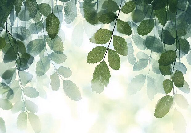 Planten Fotobehang 15591