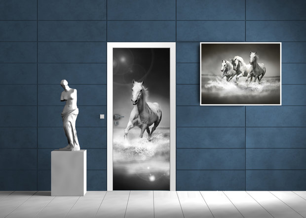 Horses girls Bedrooms Deurposter Fotobehang 426VET