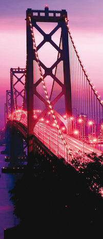 Golden Gate Bridge City Urban Deurposter Fotobehang 417VET